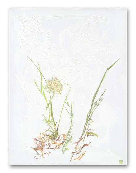 Delicate grasses against a highly textured white background
