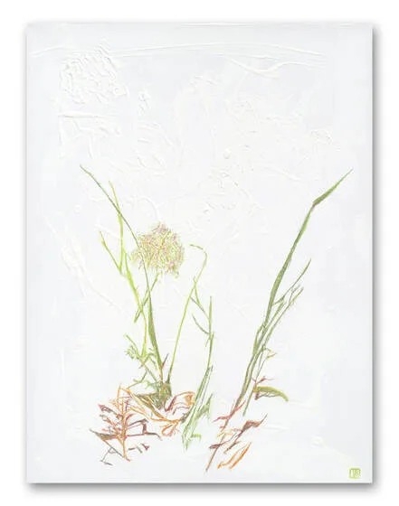 Delicate grasses against a highly textured white background